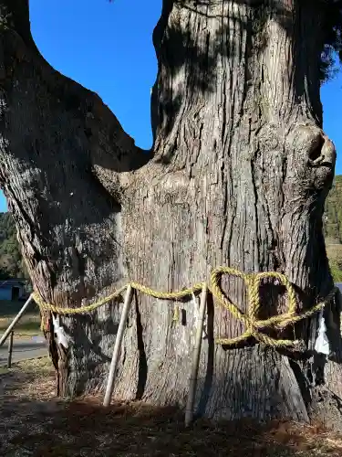 月瀬神社(長野県)