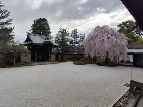 高台寺（高台寿聖禅寺・高臺寺）(京都府)