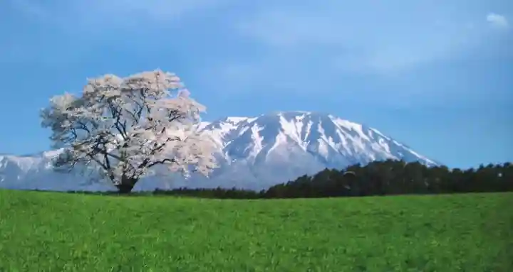 岩手山神社の景色