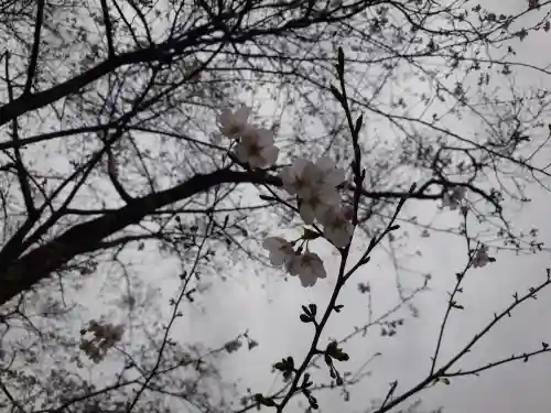 青岸渡寺(和歌山県)