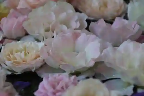 田村神社の手水舎