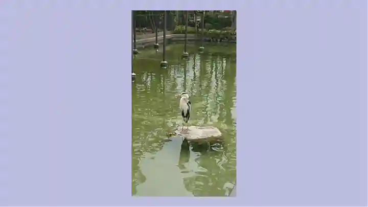 川崎大師(平間寺)の御朱印