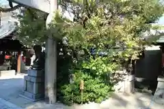 菅大臣神社の庭園