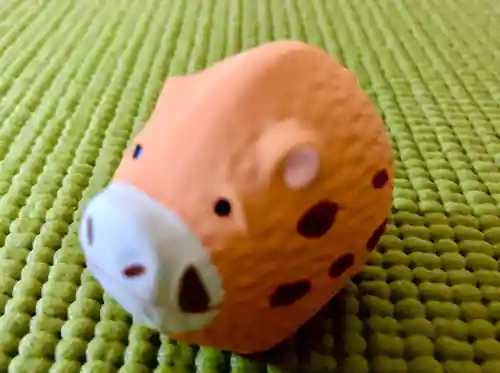 摩利支天堂 禅居庵のおみくじ