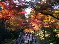 日吉大社の自然