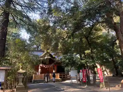 氷川女體神社(埼玉県)