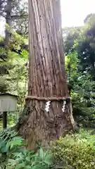 縣神社(千葉県)