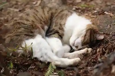 玉野御嶽神社(愛知県)
