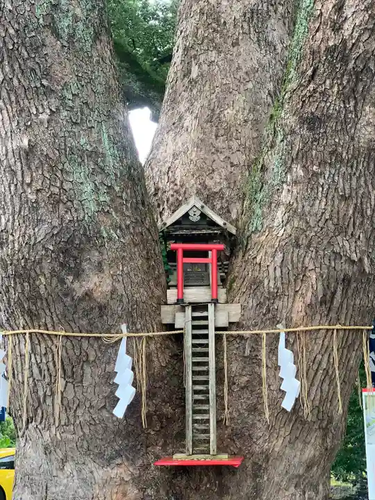 加藤神社(熊本県)