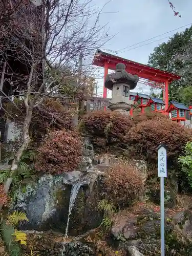 猿田彦神社の自然