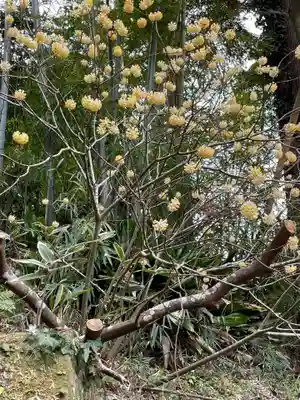 円覚寺(神奈川県)