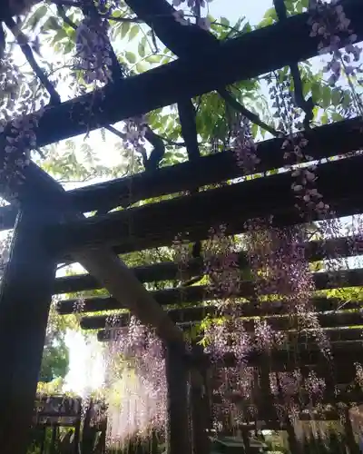 豊國神社(愛知県)