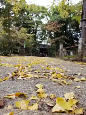 赤坂氷川神社(東京都)
