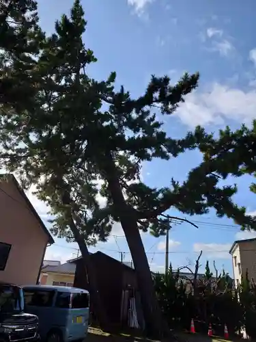 菅原神社(新潟県)