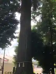 劒神社(福井県)