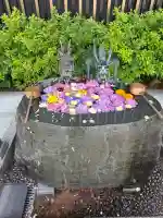 駒込妙義神社(東京都)