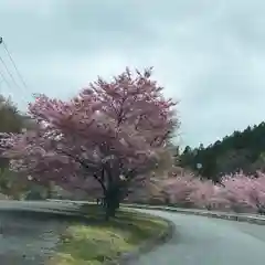 古峯神社の自然