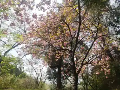 八幡神社(福島県)