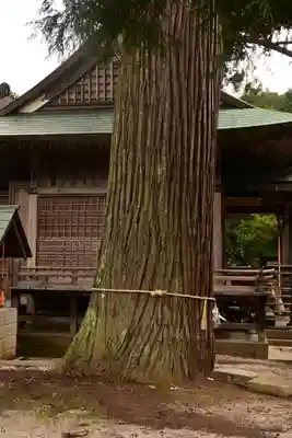 須我神社(島根県)