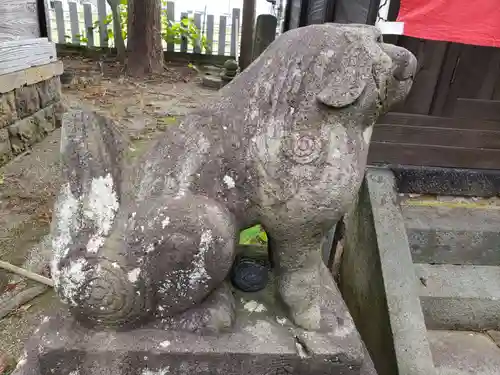 子安神社の狛犬