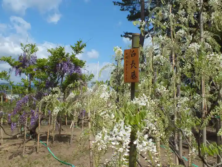 志那神社の自然