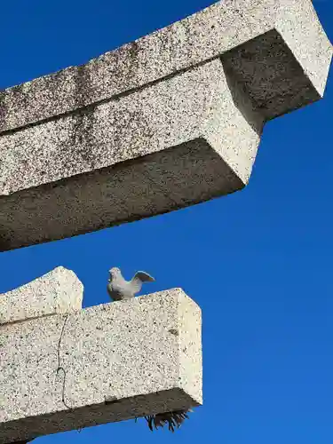 川越八幡宮(埼玉県)