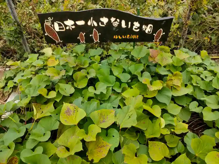 ほしいも神社の{uncategorized: "未分類", other: "その他", undefined: "問題あり", building: "その他建物", grave: "お墓", sacred_gate: "鳥居", guardian: "狛犬", statue: "像", buddha: "仏像", history: "歴史", nature: "自然", garden: "庭園", animal: "動物", pagoda: "塔", temizu: "手水舎", mountain_gate: "山門・神門", sanctuary: "本殿・本堂", subordinate: "末社・摂社", art: "芸術", scenery: "景色", jizo: "地蔵", ema: "絵馬", goshuin: "御朱印", omikuji: "おみくじ", items: "授与品その他", amulet: "お守り", goshuincho: "御朱印帳", eats: "食事", festival: "お祭り", votive_dance: "神楽", shichigosan: "七五三参", wedding: "結婚式", experience: "体験その他", initially: "初詣", around: "周辺", anti_infection: "感染症対策"}