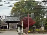 喜多院(埼玉県)