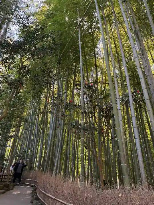 報国寺(神奈川県)