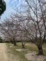 貴船神社の自然