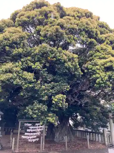 鹿島神社(茨城県)