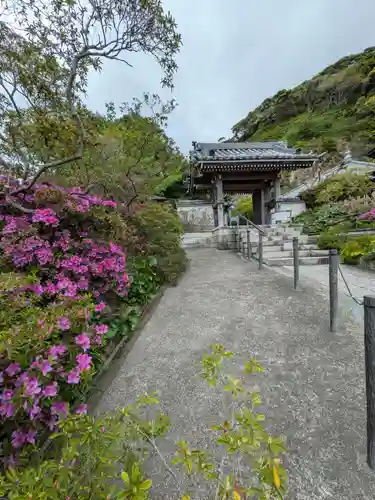 安養院　(田代寺）(神奈川県)