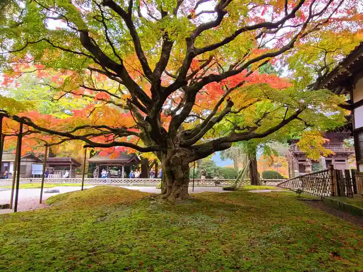 千如寺大悲王院(福岡県)