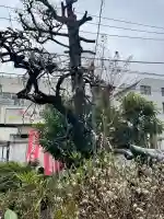 上聖寺の{uncategorized: "未分類", other: "その他", undefined: "問題あり", building: "その他建物", grave: "お墓", sacred_gate: "鳥居", guardian: "狛犬", statue: "像", buddha: "仏像", history: "歴史", nature: "自然", garden: "庭園", animal: "動物", pagoda: "塔", temizu: "手水舎", mountain_gate: "山門・神門", sanctuary: "本殿・本堂", subordinate: "末社・摂社", art: "芸術", scenery: "景色", jizo: "地蔵", ema: "絵馬", goshuin: "御朱印", omikuji: "おみくじ", items: "授与品その他", amulet: "お守り", goshuincho: "御朱印帳", eats: "食事", festival: "お祭り", votive_dance: "神楽", shichigosan: "七五三参", wedding: "結婚式", experience: "体験その他", initially: "初詣", around: "周辺", anti_infection: "感染症対策"}
