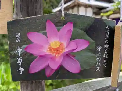 中尊寺(岩手県)