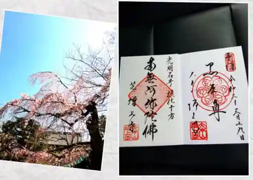 増上寺の御朱印