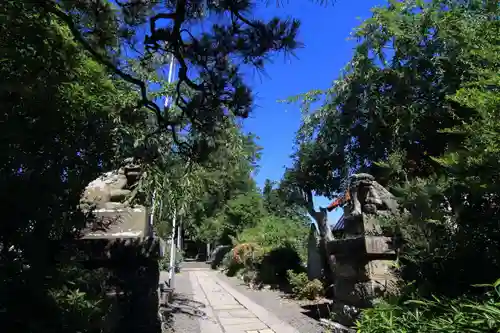 豊景神社の狛犬