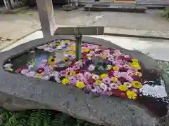 荘内神社の手水