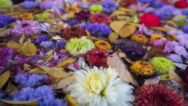 中川八幡神社(長崎県)