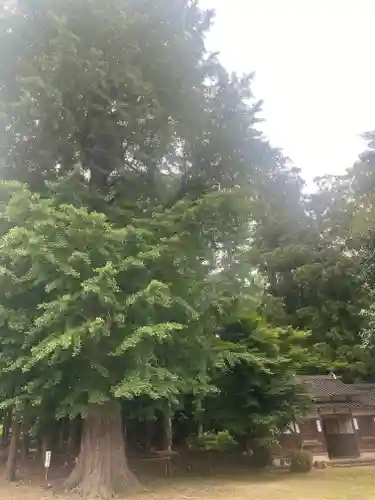 神門神社(兵庫県)