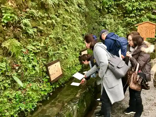 貴船神社のおみくじ