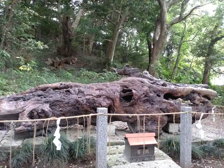 泉神社(茨城県)