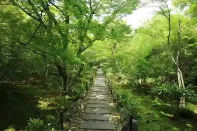 宝筐院(京都府)