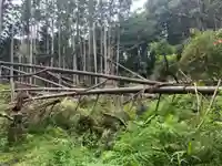 神社(名称不明)の周辺