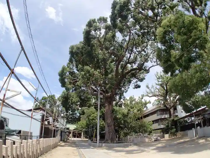 阿麻美許曽神社のその他建物