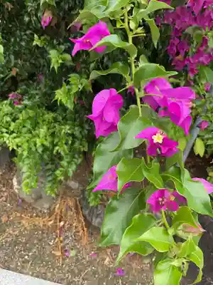 法住寺(愛知県)