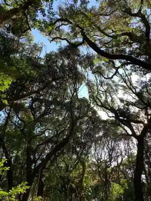 小川神社の自然