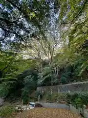 意賀美神社(大阪府)