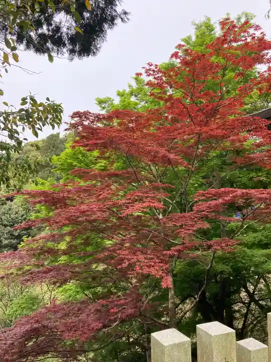 正法寺(滋賀県)