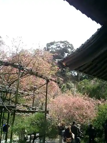 光則寺(神奈川県)